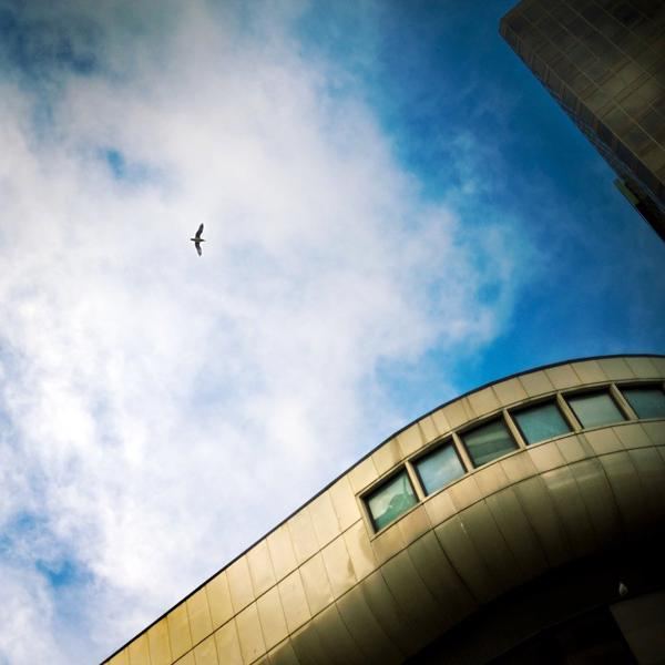 Featured Album photo by Graham Powell