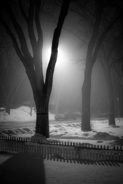Featured Album photo by Graham Powell